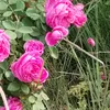 user55700416