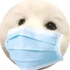 doggo_4_life_boiii