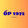 ỐP 1975 💎