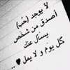 user8154111431633