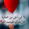 najatnor3