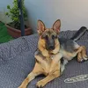 neri_bruna