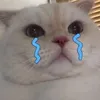 nhauxunig