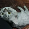 minhzzzzz