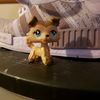 catfoodl123
