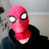 whoisthespiderman_perisi