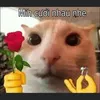 chiubillards