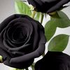userlgn2bndy8g