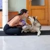 togothesiberian