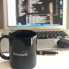 anvesti