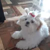user045712155jojo