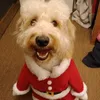 buddybud6