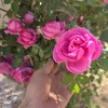 userazdgzkqifi
