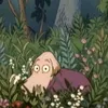 circino97
