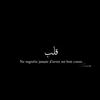 camelia__212