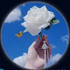 liarhope4