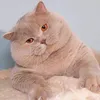 sumiyati_48