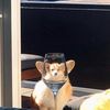 zoomunigraduate