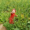 xahuyen
