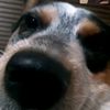julixx0912