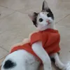 yaesossa