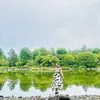 shinjujamaisvu