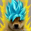icy_zicxx