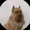 aguantemarvel6