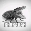 ebaaaatetozjeswaga