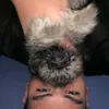 heinrich_0.0