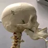 todindacruzofc