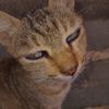 .mimiww_