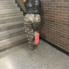 melia21_