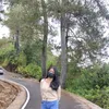 ciciliani_tandi