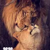 mortn_c