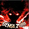 sensi.zd