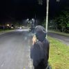 hehe24_3