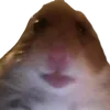 _fredkill228_