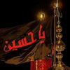 syedfaraz247