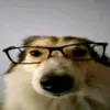 fsbasheroatacadenovo