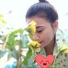 user574207908sreykhuoch