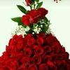 user594350056