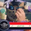 zaidali831