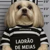 carlosrms171