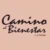 caminoalbienestar.uy