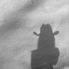 roguewoman6
