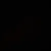 clo_2024