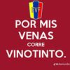 andruvinotinto