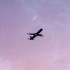 moonlight._.2025
