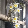 ketthuc.de_batdau91